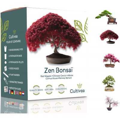 Mini Kit Prêt-à-pousser zen bonsai